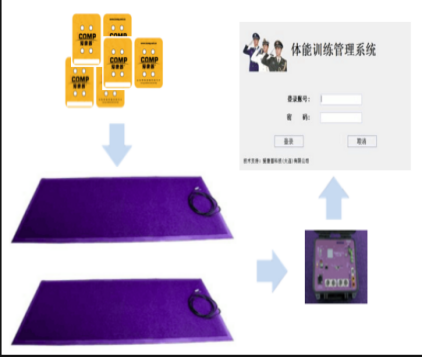 體能訓練拓展系統